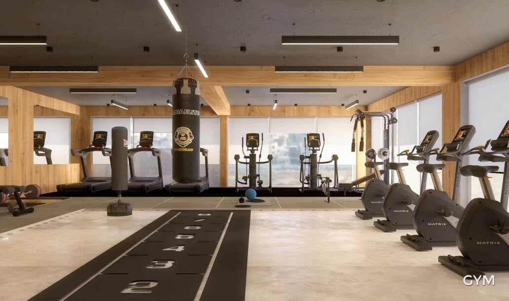 Gymnasium